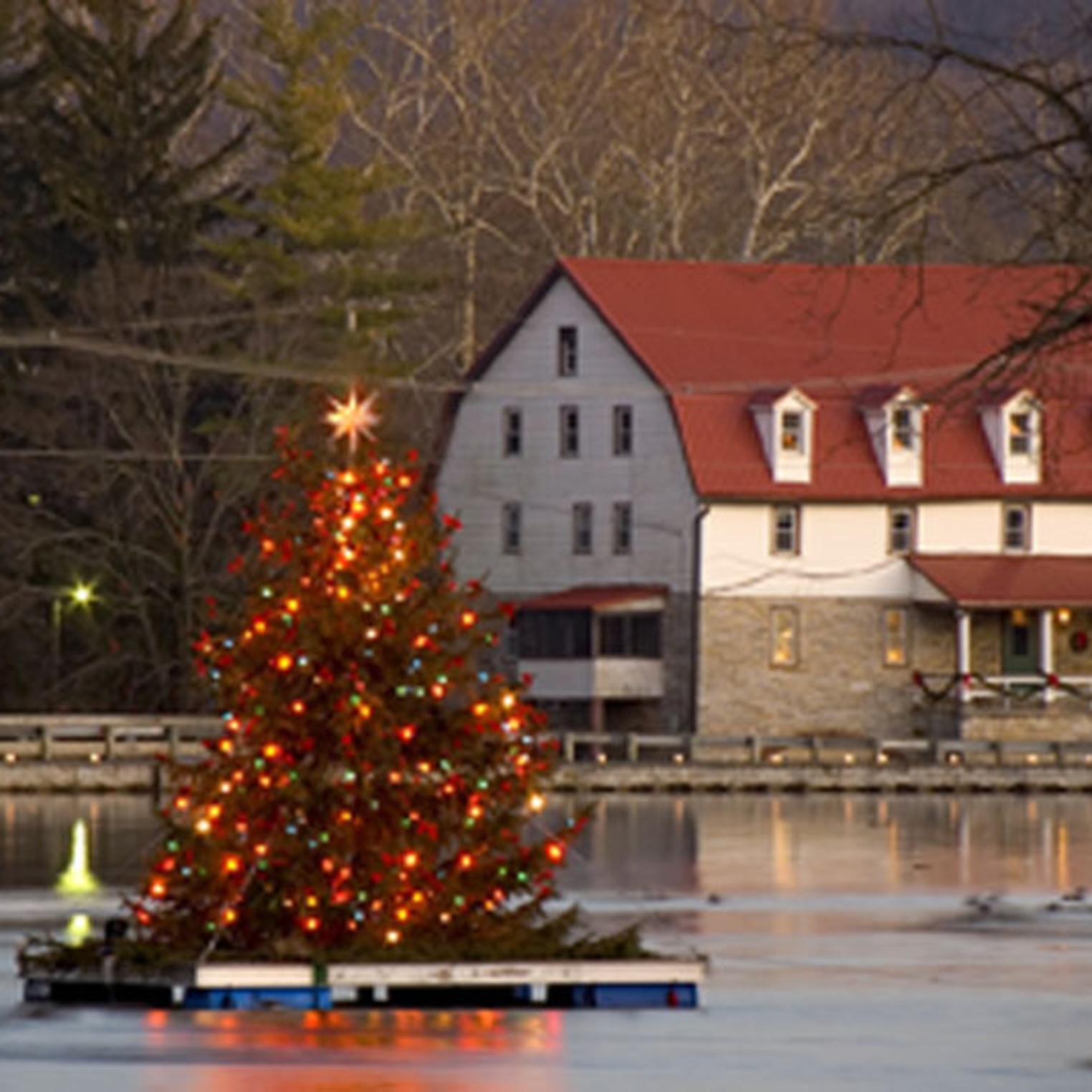 Floating Christmas Tree on Children's Lake