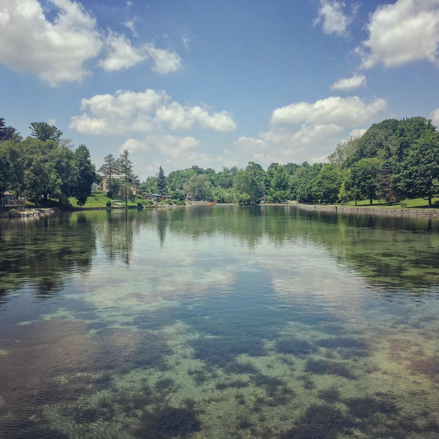 Child looking out onto Children's Lake