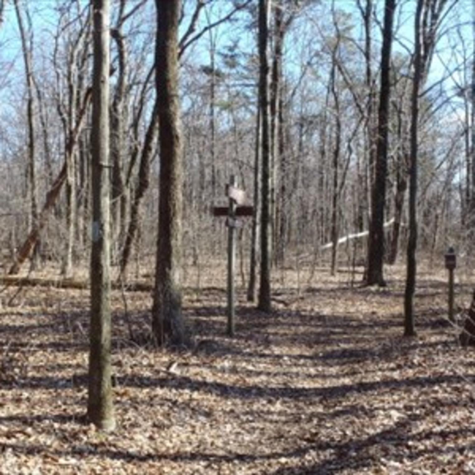 Darlington Trail