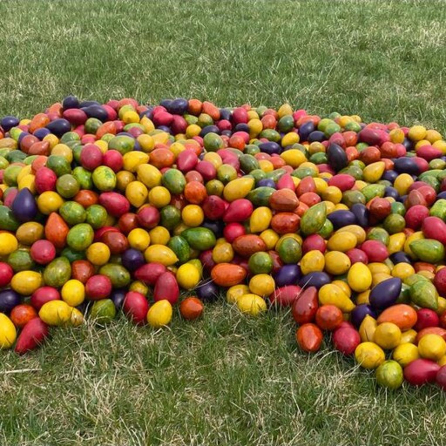 Meadowbrooke Gourds Easter Egg Hunt 4 20 24 Carlisle PA