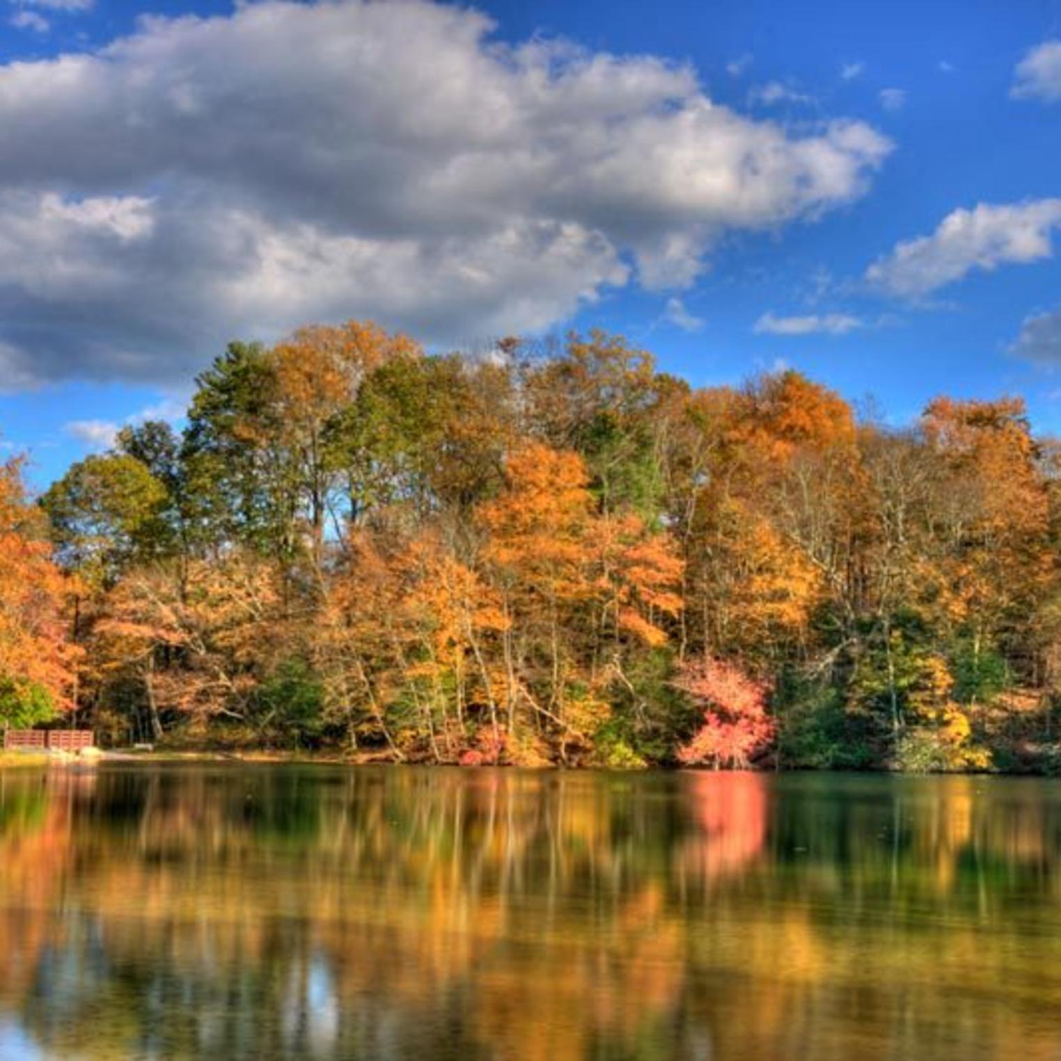 Autumn at Fuller Lake