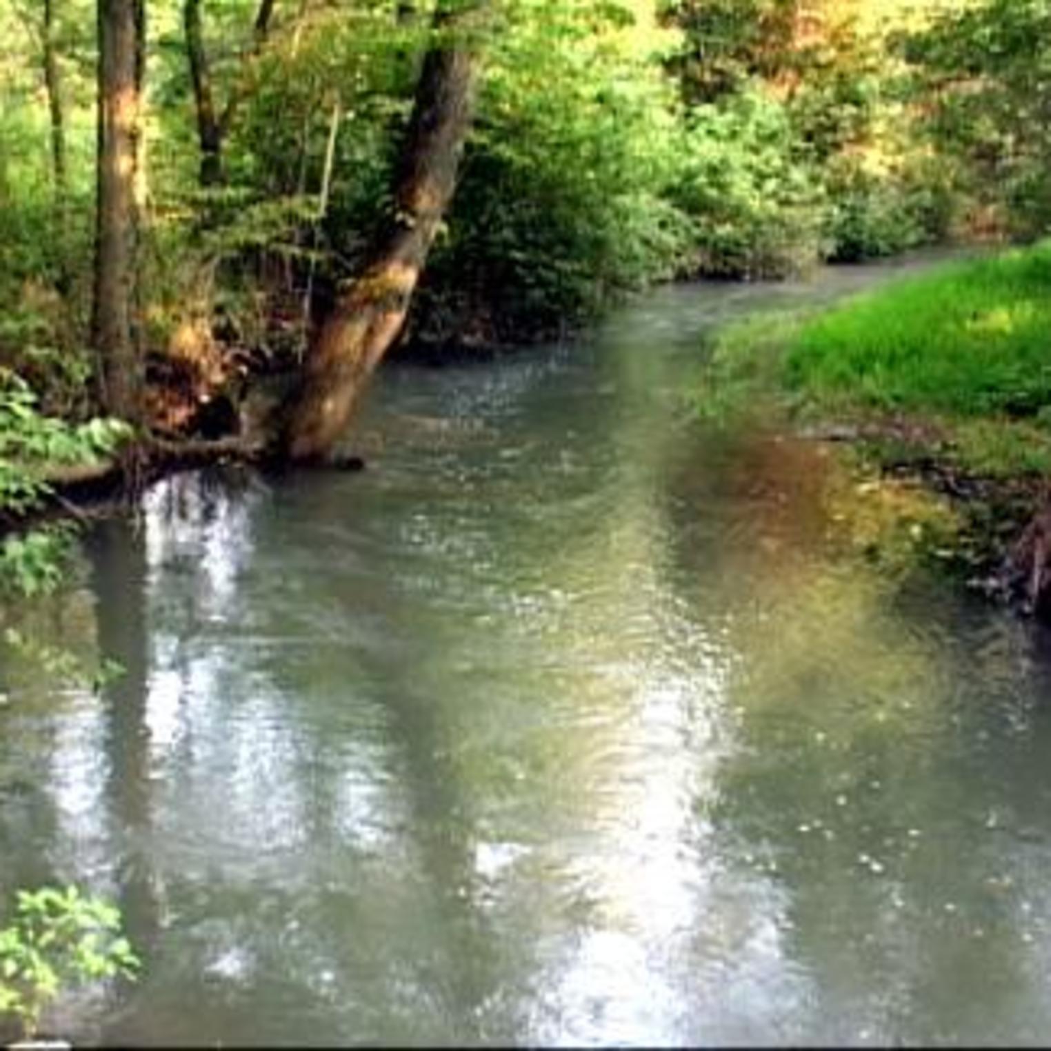 Green Springs Creek