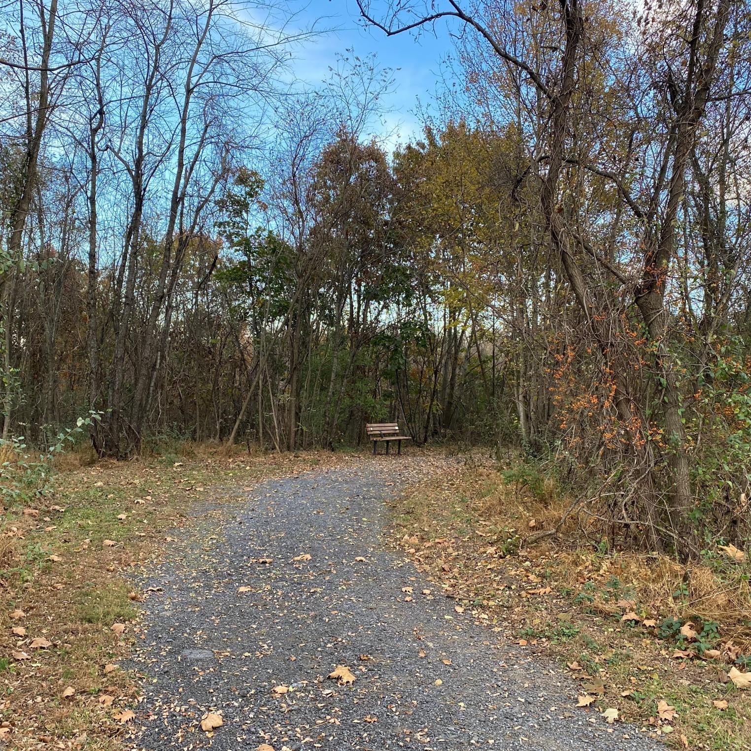 Veterans Park