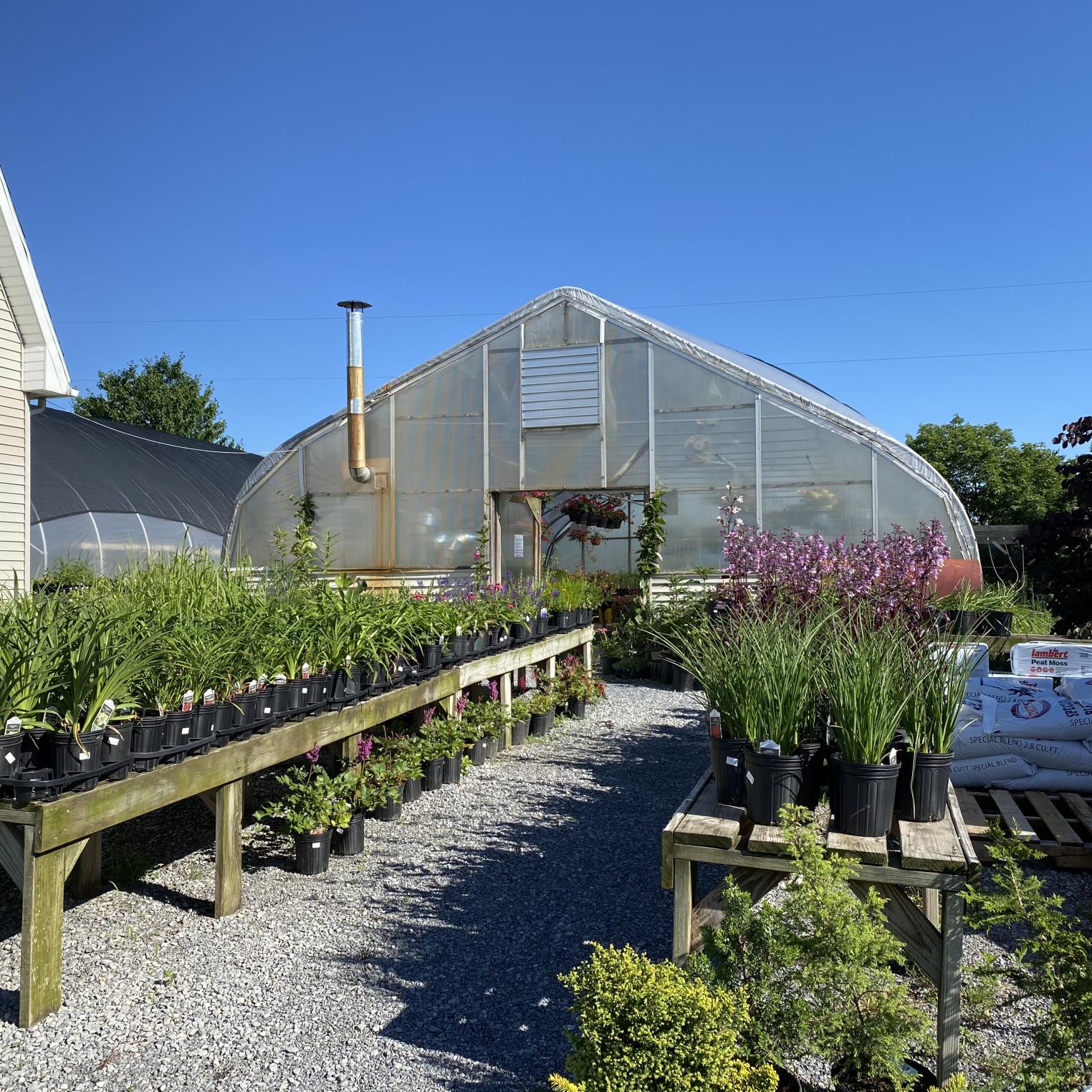 Newville Produce Farm & Greenhouses