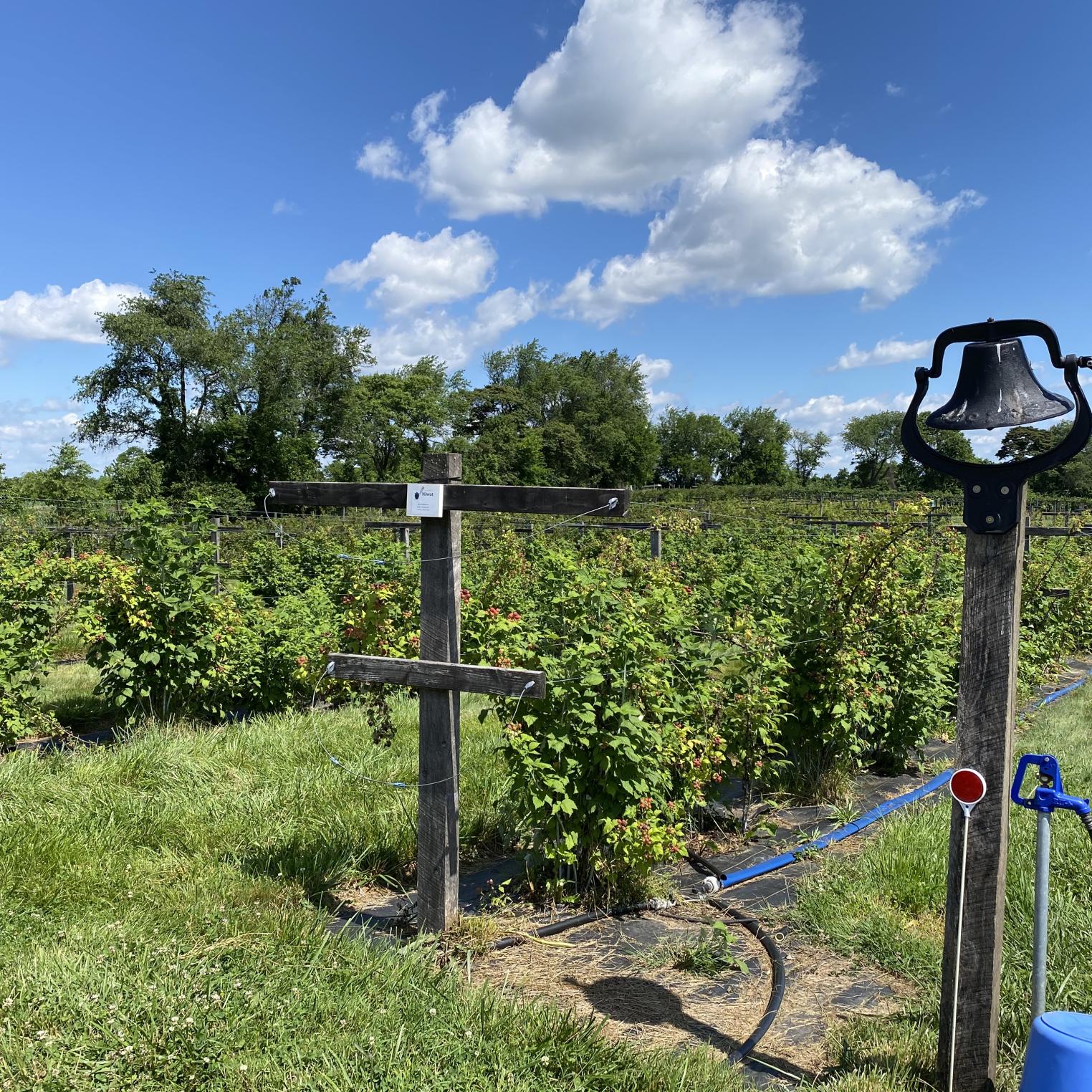 Threefold Farm