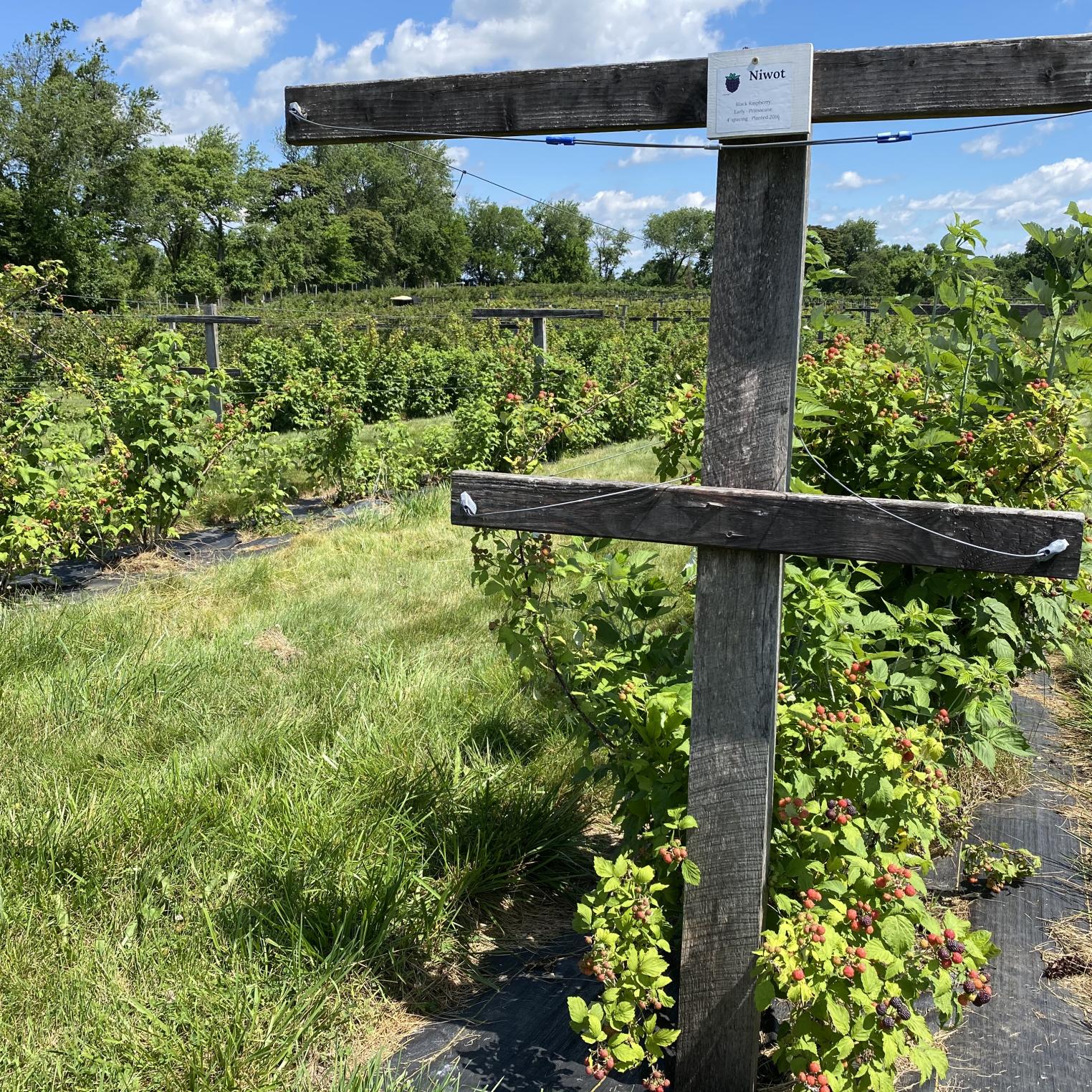 Threefold Farm