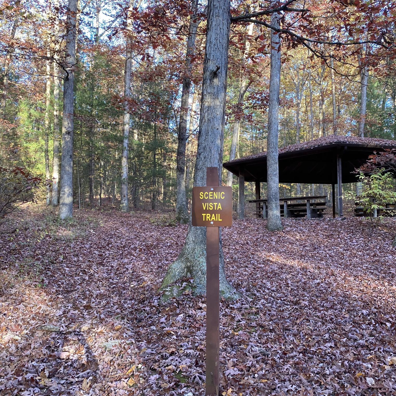 Scenic Vista Trail