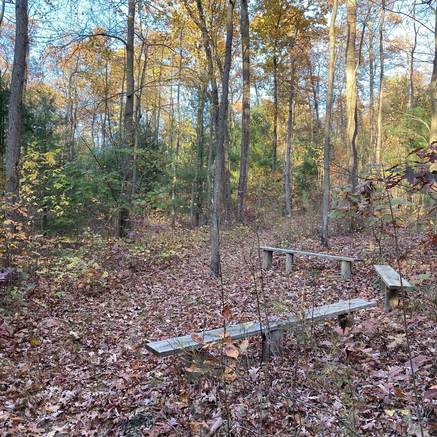 Scenic Vista Trail