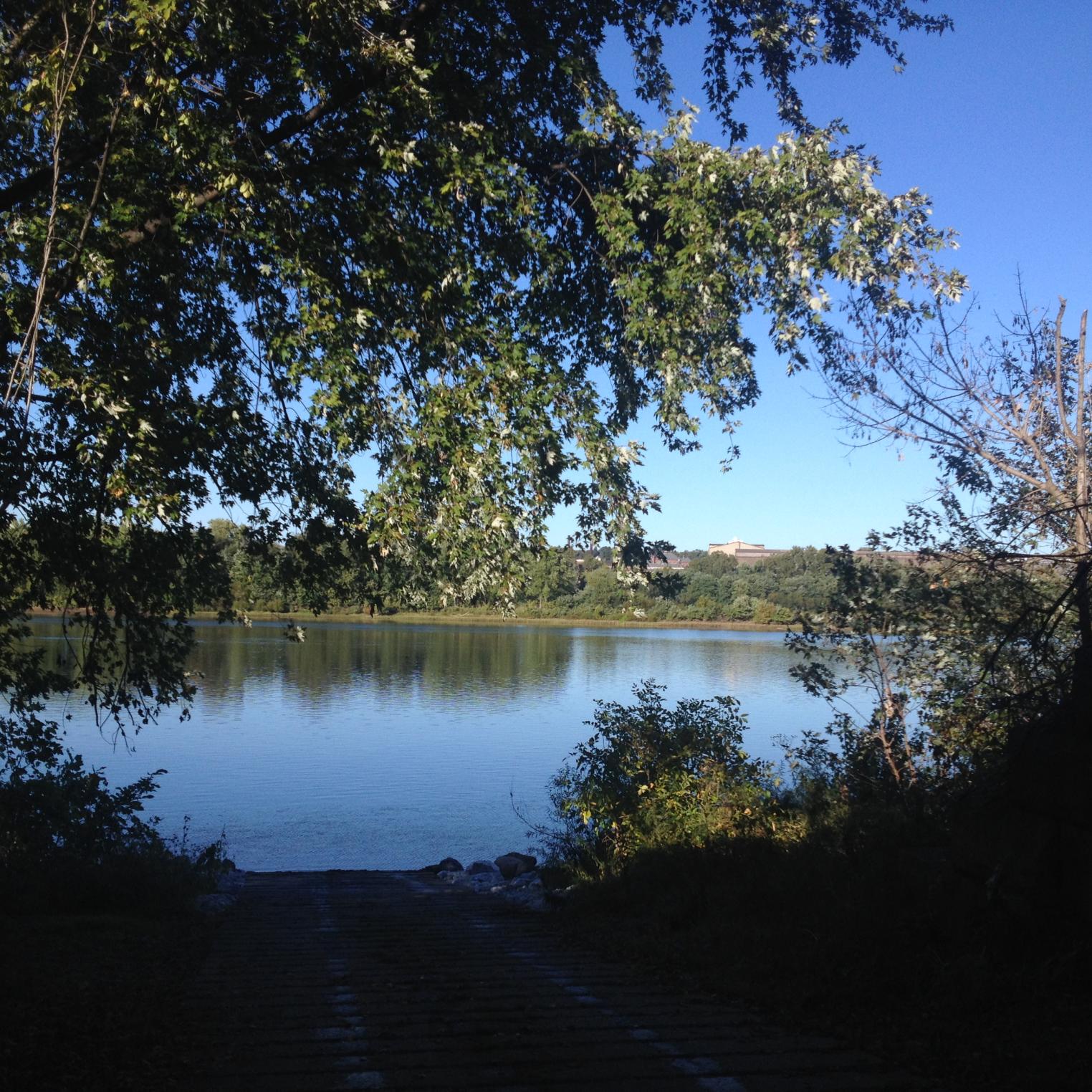 Bob McCollum Park