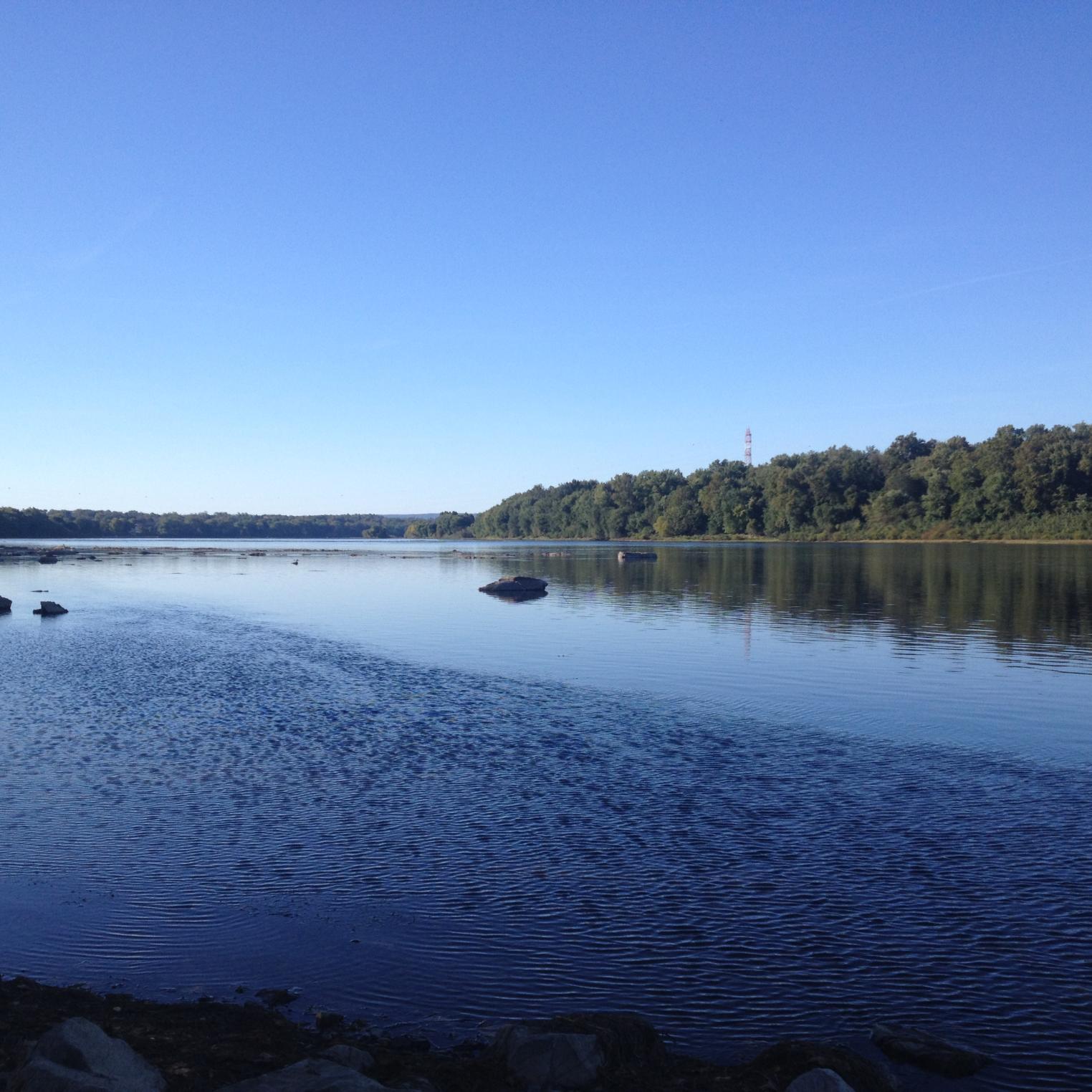 Bob McCollum Park