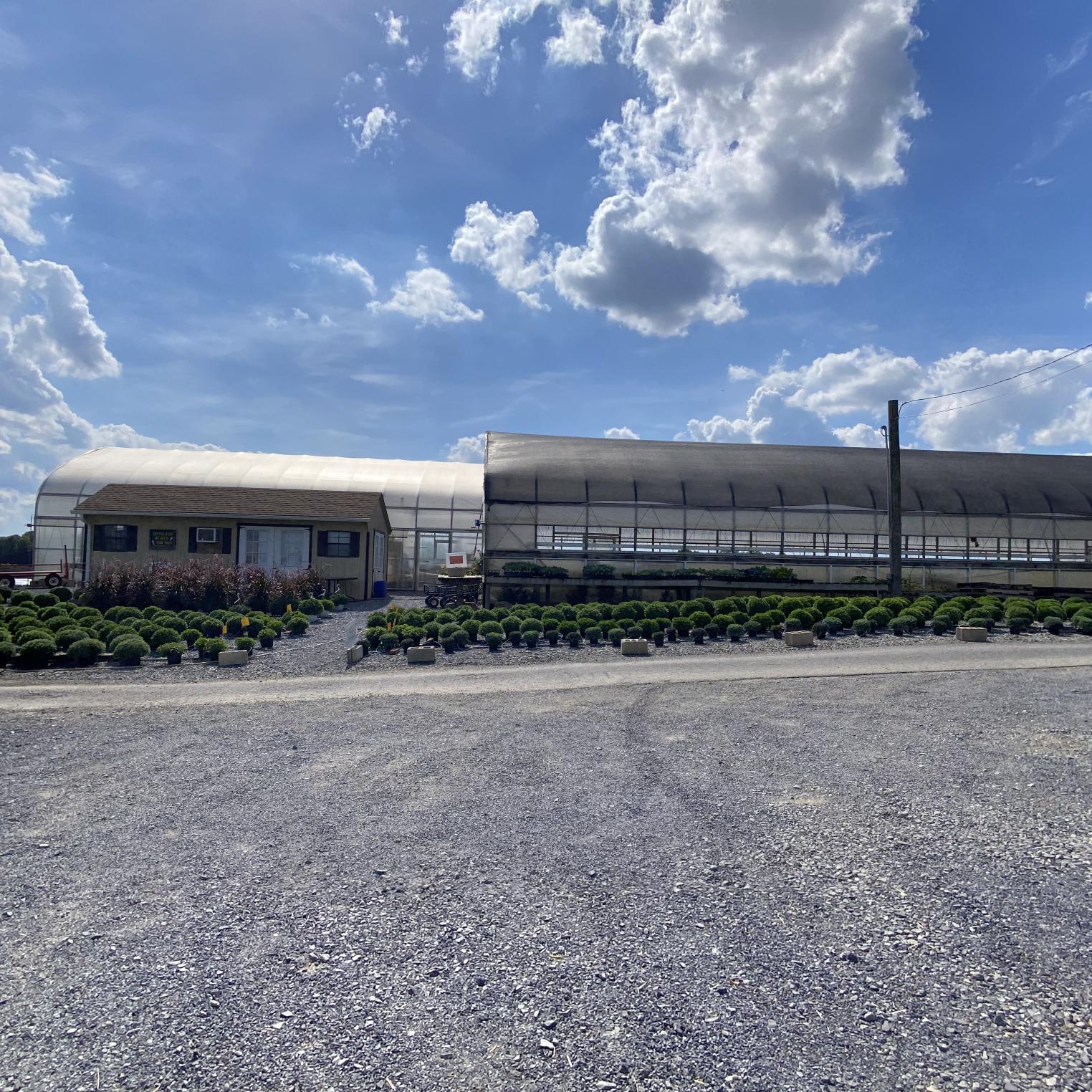 Spring Garden Greenhouse