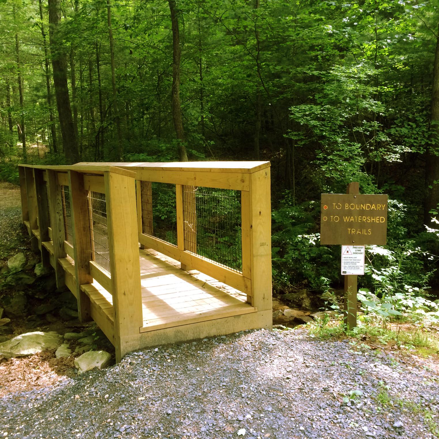 Watershed Trail at Kings Gap