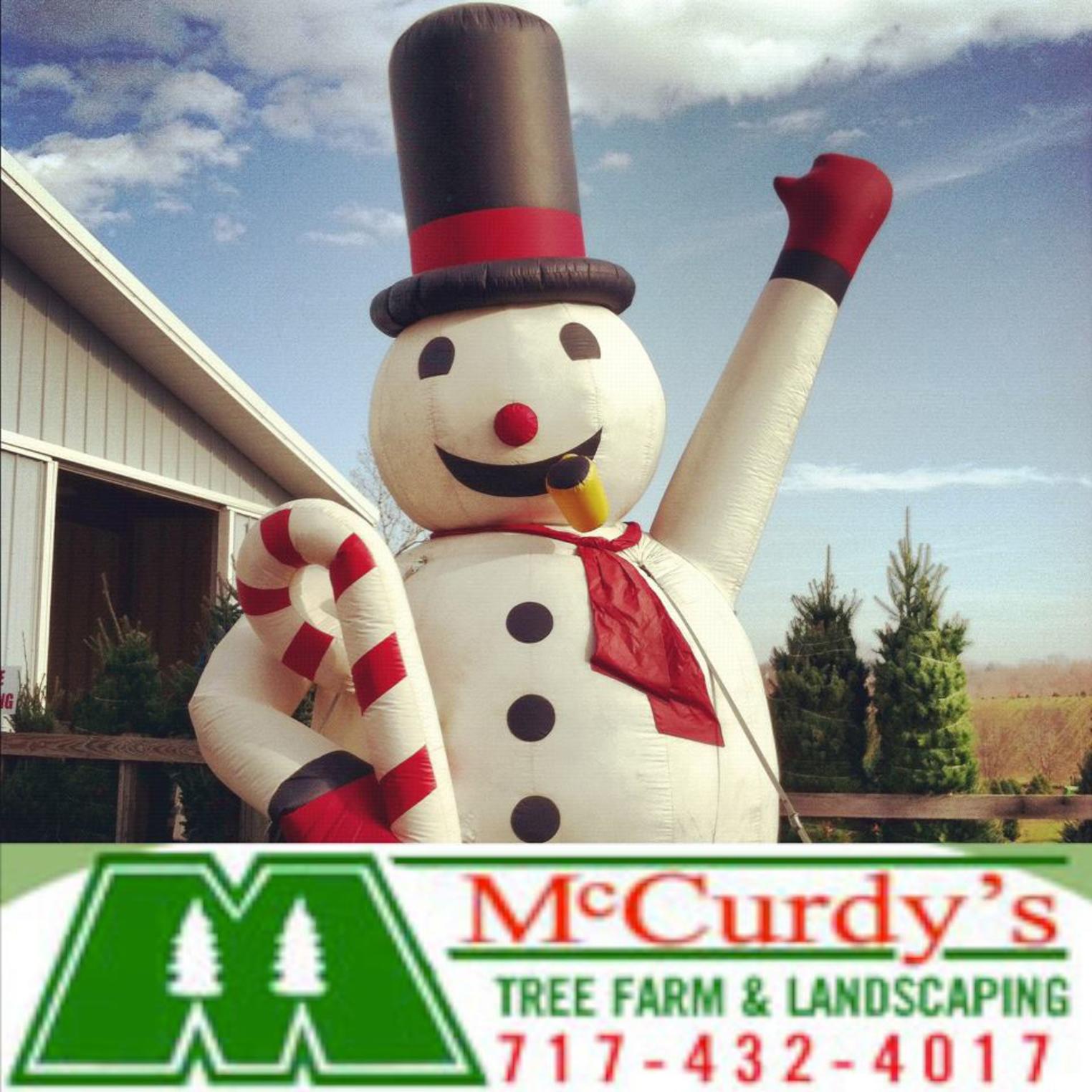 McCurdy's Tree Farm & Landscaping