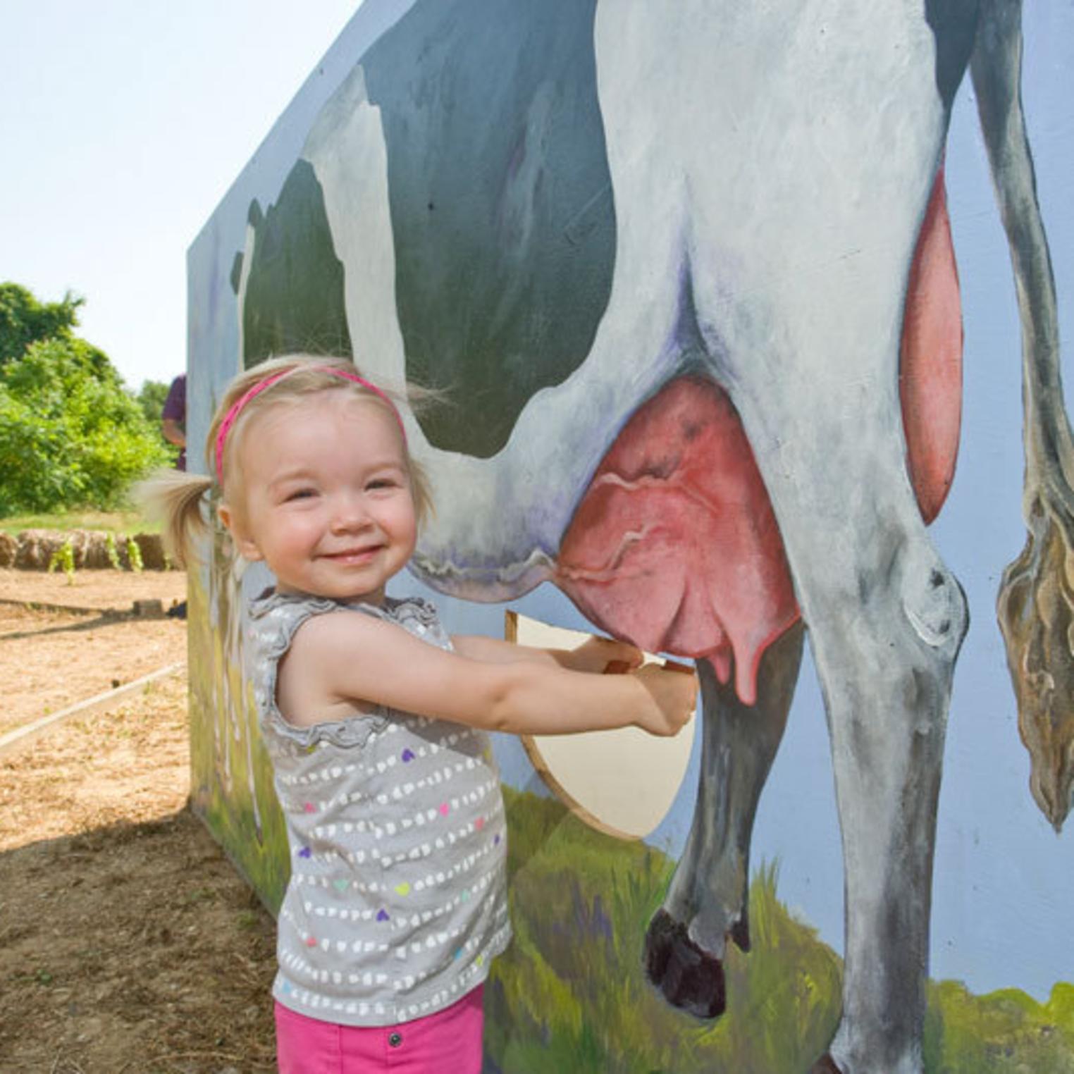 Milking the Cow at Paulus Farm Market