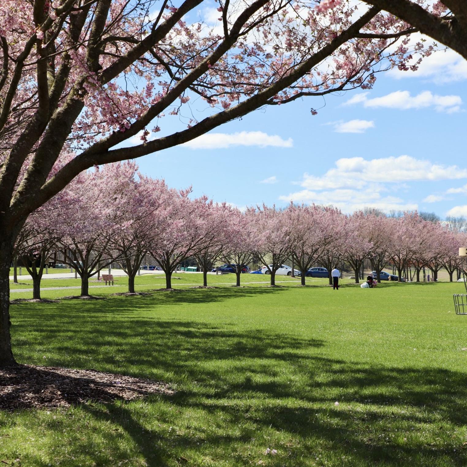 Spring Meadows Park