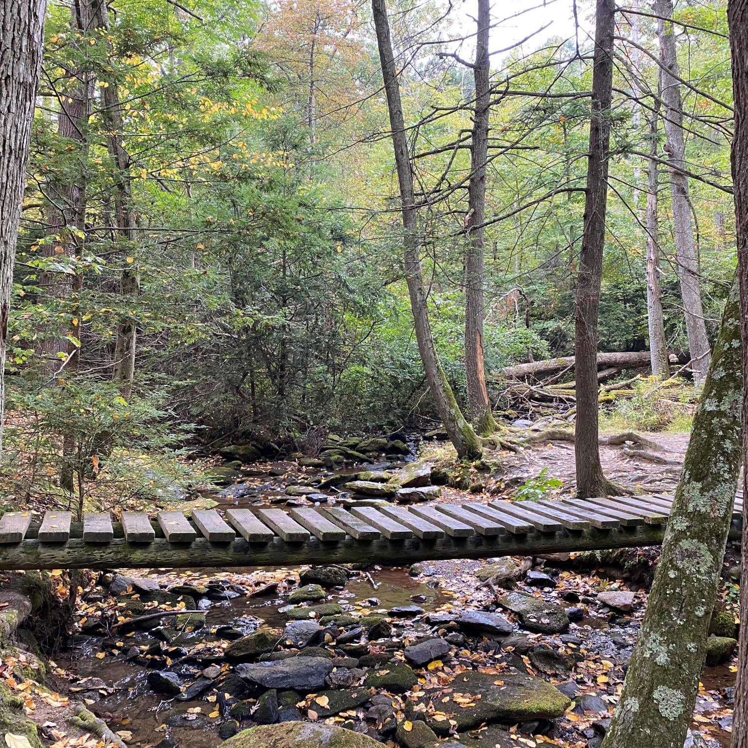 Sunset Rocks Trail