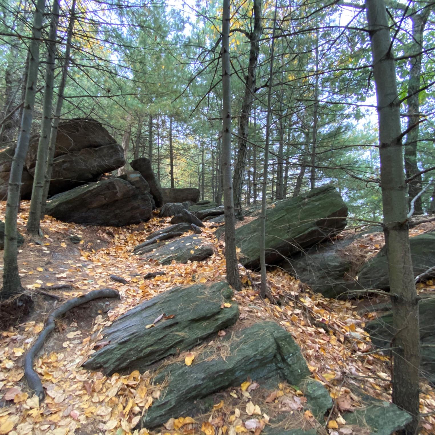 Sunset Rocks Trail