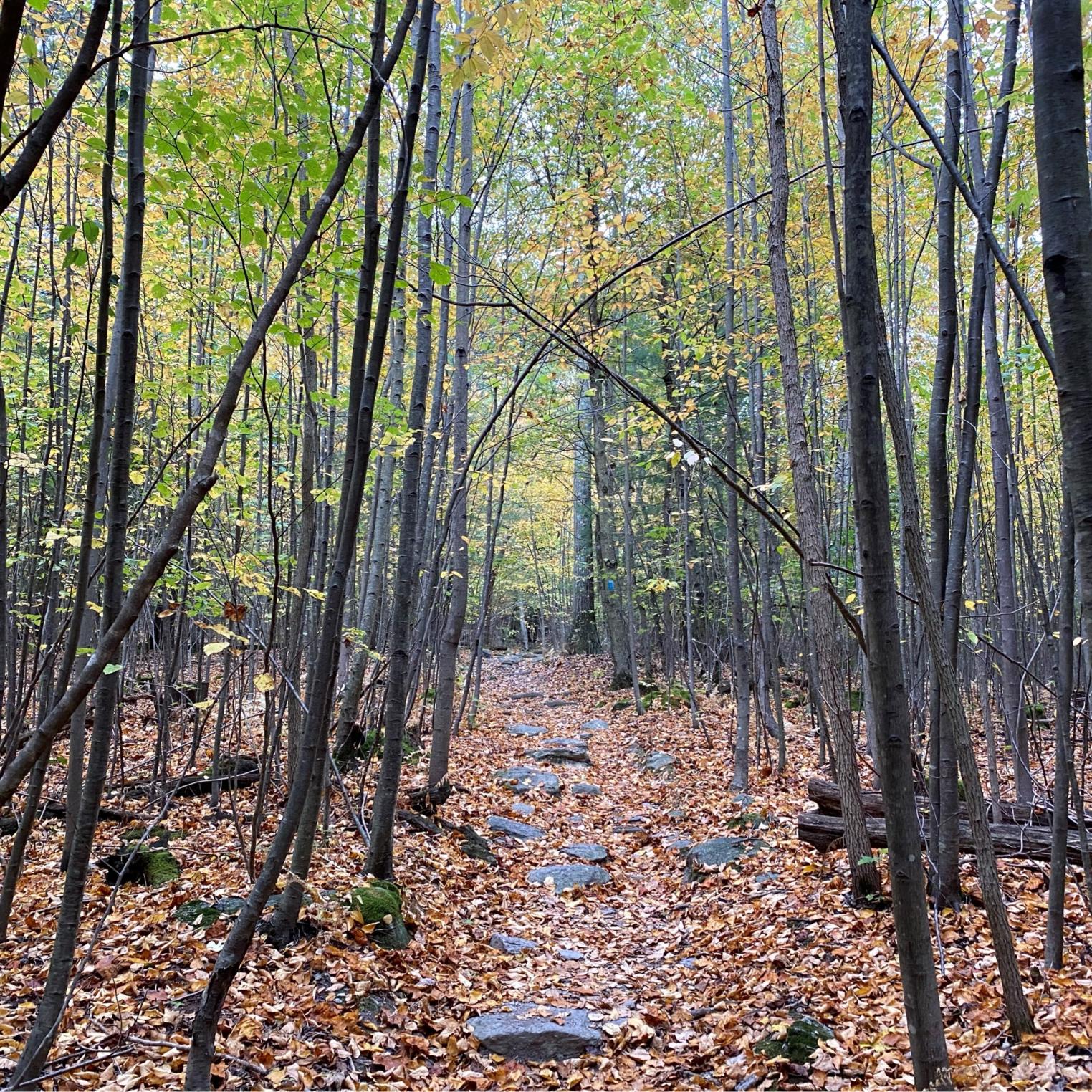 Sunset Rocks Trail