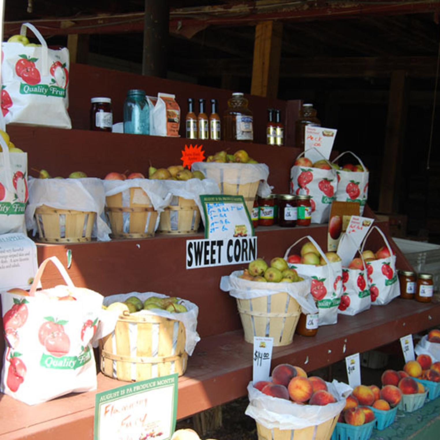 Fruit For Sale at Toigo Orchards
