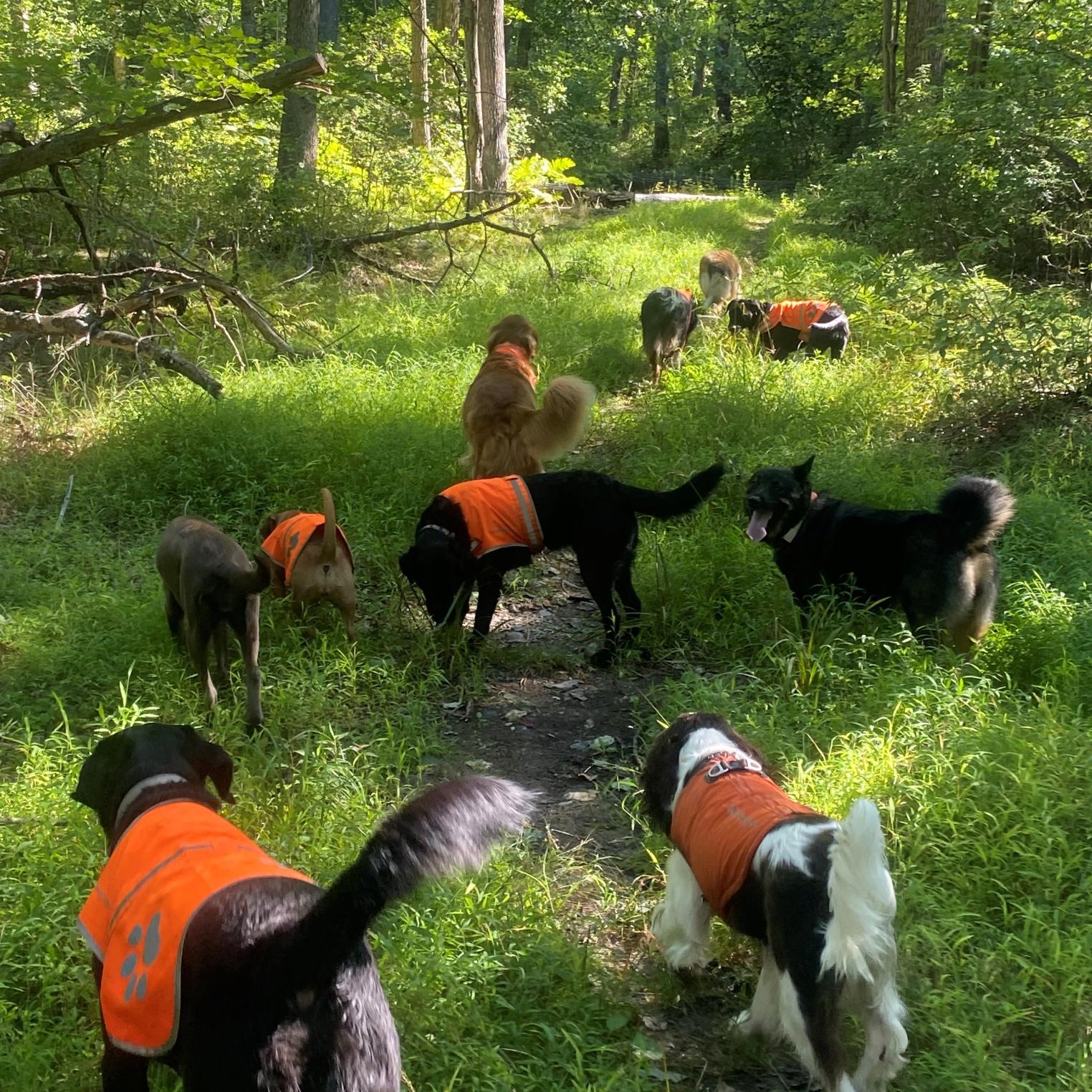 Trek & Trot