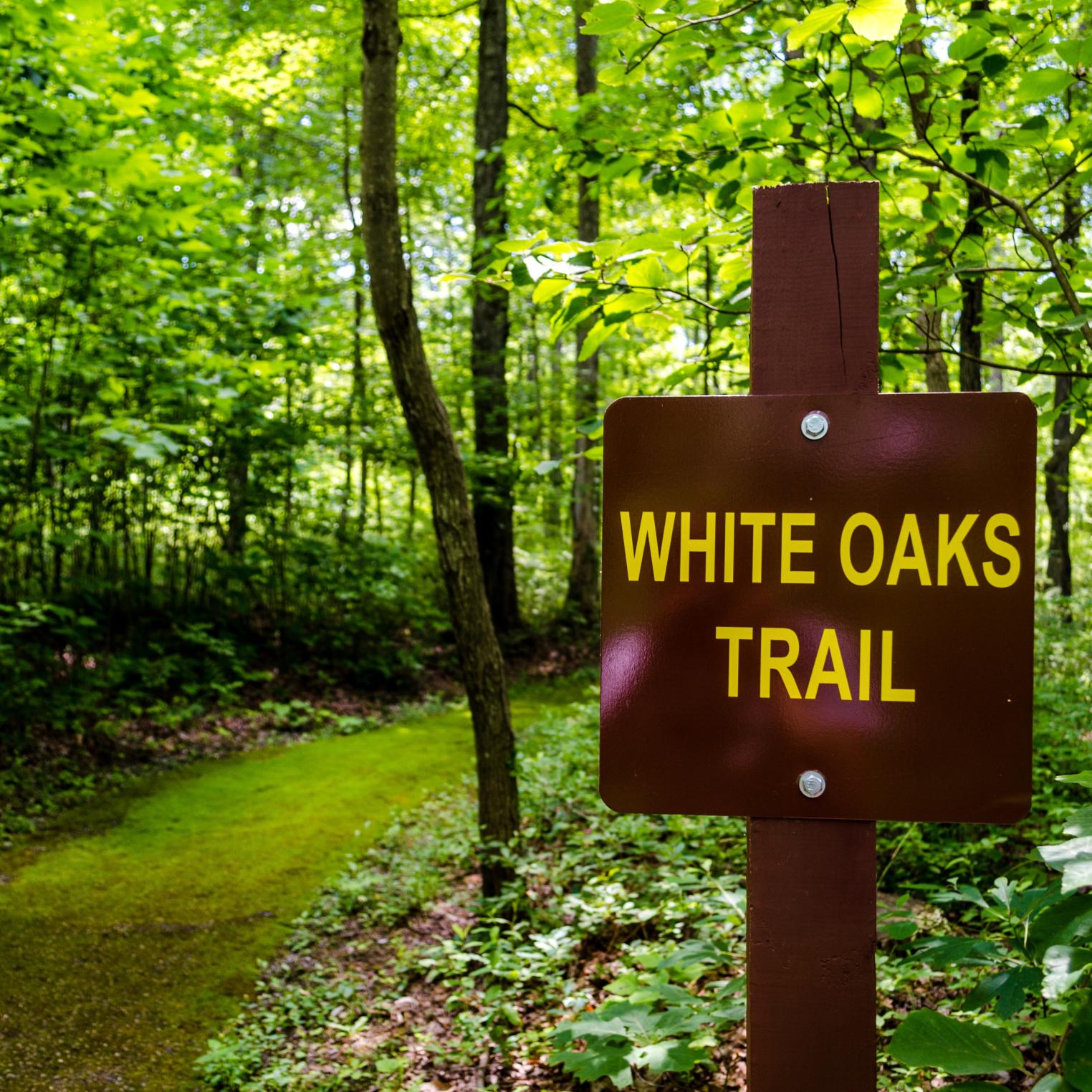 White Oaks Trail @ Kings Gap