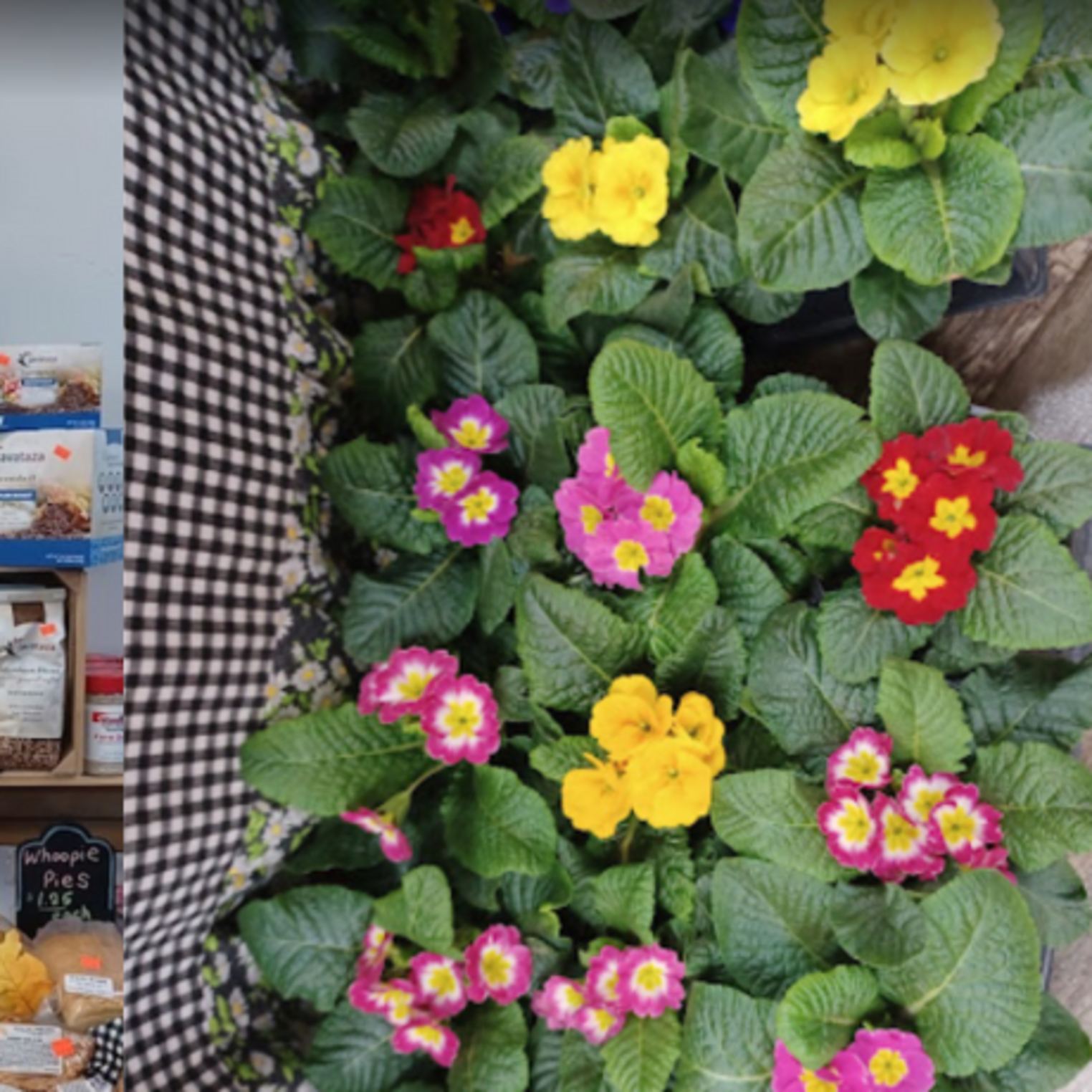 Maple Lane Farm Market