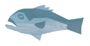 Blue Cod Icon