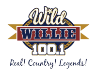 Wild Willie Logo