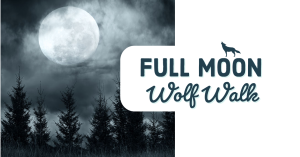 Full Moon Walk