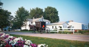 Amish Buggy in Amish Country, northern Indiana
