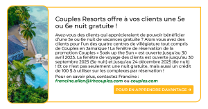 French Cheatsheet 2 - Apr 2025