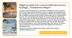 French Cheatsheet 2 - Jun 2025