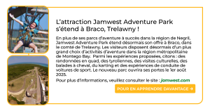 French Cheatsheet 2 - Aug 2025