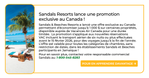 French Cheatsheet 4 - Feb 2026