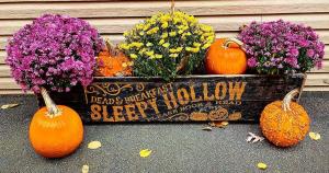 Picture of the Sign for Sleepy Hollow Inn Bed & Breakfast surrounded by pumpkins and mums.