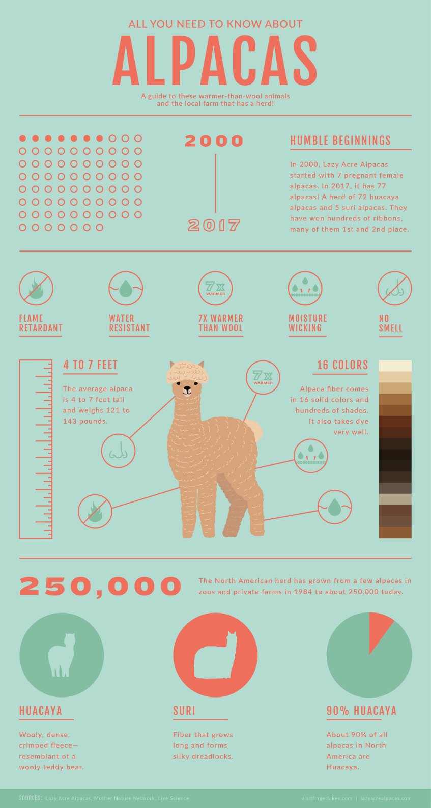 lazy-acre-alapcas-bloomfied-infographic-alpaca-facts