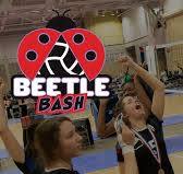 beetle bash