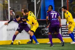 Harrisburg Heat 2019