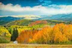 member photo library