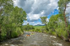 member photo library