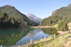 Tibble Fork 4