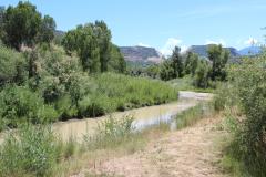 View of the River