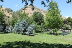 Jolley's Ranch Picnic Area