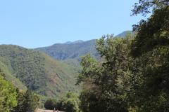 View of the Mountains from Hobble Creek Canyon Drive