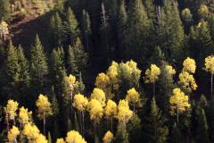 SundanceLift3