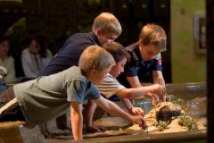Erosion Table