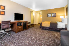 Guest Bed