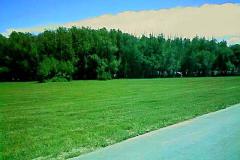 Willow Park