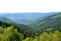Nebo Loop