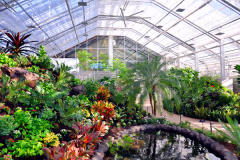 Butterfly Biosphere